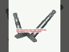 Trasmissione a asse non verticale per motore Greatwall